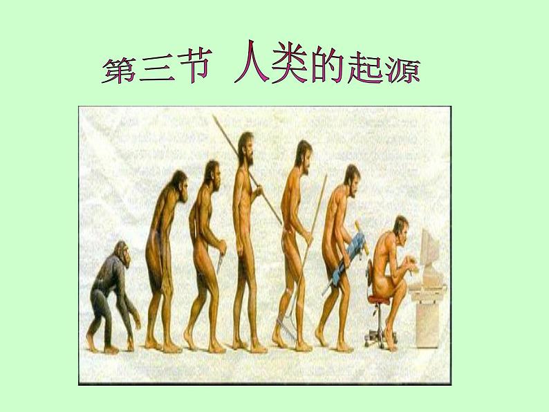 冀教版八年级下册生物 6.3.3人类的起源 课件01