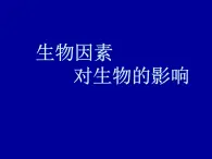 冀教版八年级下册生物  7.1.1环境对生物的影响 课件