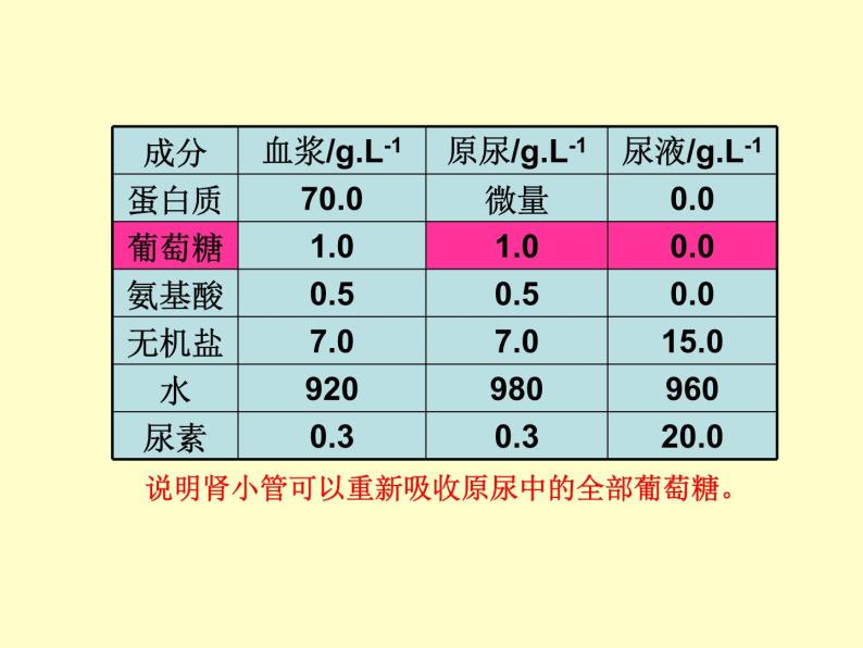 苏教版七年级下册生物 11.2人体废物的排出 课件06