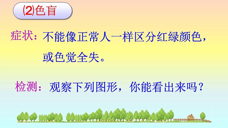 苏教版八年级下册生物 22.4遗传病和优生优育 课件第6页