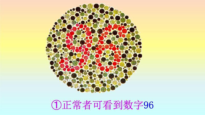 苏教版八年级下册生物 22.4遗传病和优生优育 课件第7页