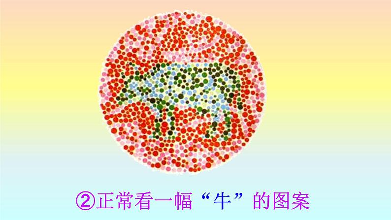 苏教版八年级下册生物 22.4遗传病和优生优育 课件第8页