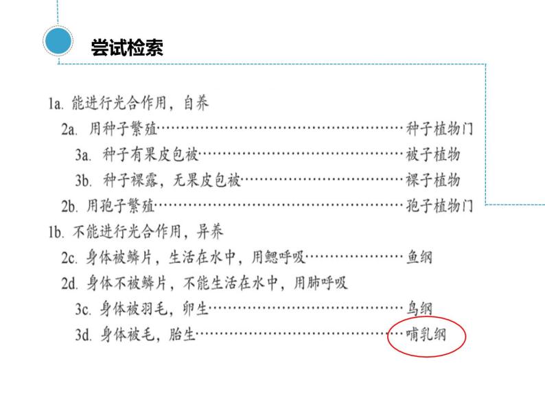 苏科版七年级下册生物 14.2生物检索表 课件07