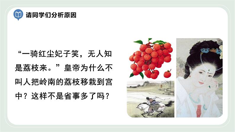 2.2 环境影响生物的生存第1课时(课件)第3页