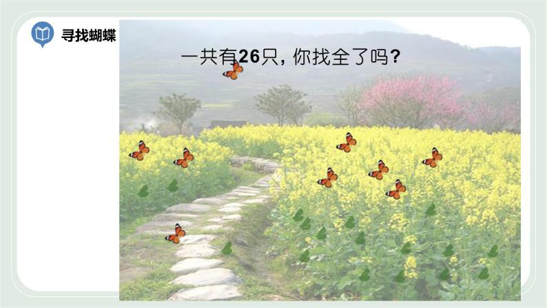 2.4 生物对环境的适应-七年级生物上册 课件+练习（苏科版）08