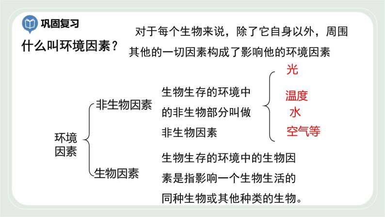 2.2 环境影响生物的生存 第2课时-七年级生物上册 课件+练习（苏科版）02