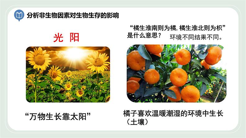 2.2 环境影响生物的生存第2课时(课件)第5页