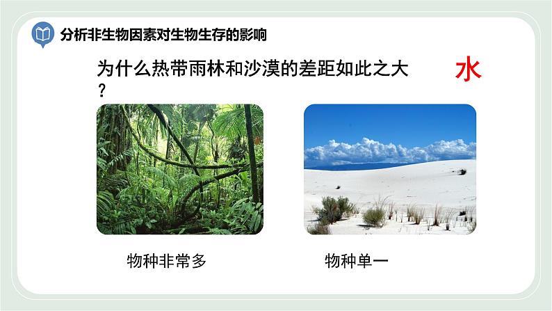 2.2 环境影响生物的生存第2课时(课件)第7页