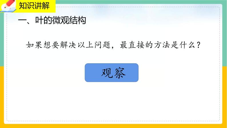 5.1.2《叶与光合作用》课件PPT+教案+同步练习03