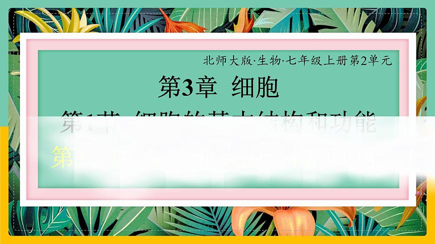 3.1.3《植物細胞結構和功能》 課件第1頁