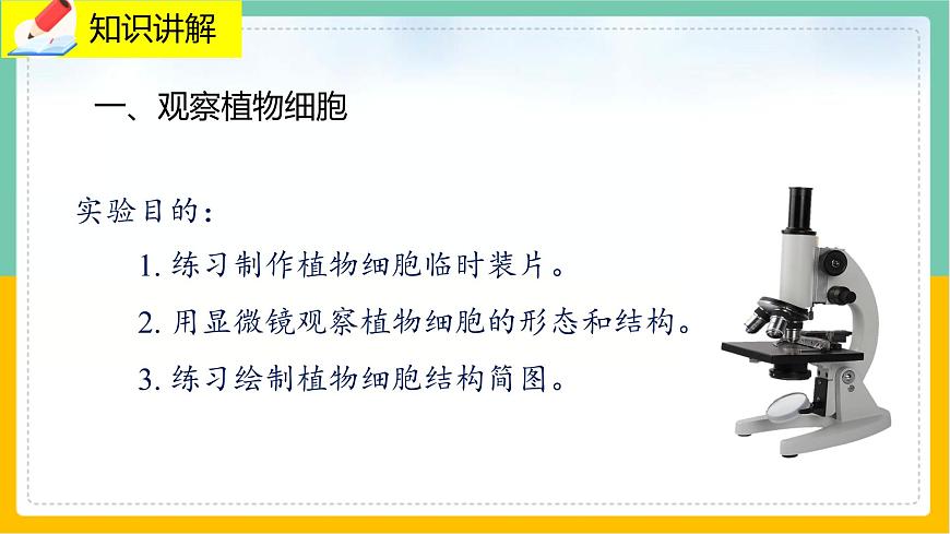 3.1.3《植物細胞結構和功能》 課件第3頁