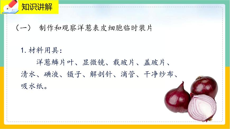 3.1.3《植物細胞結構和功能》 課件第4頁