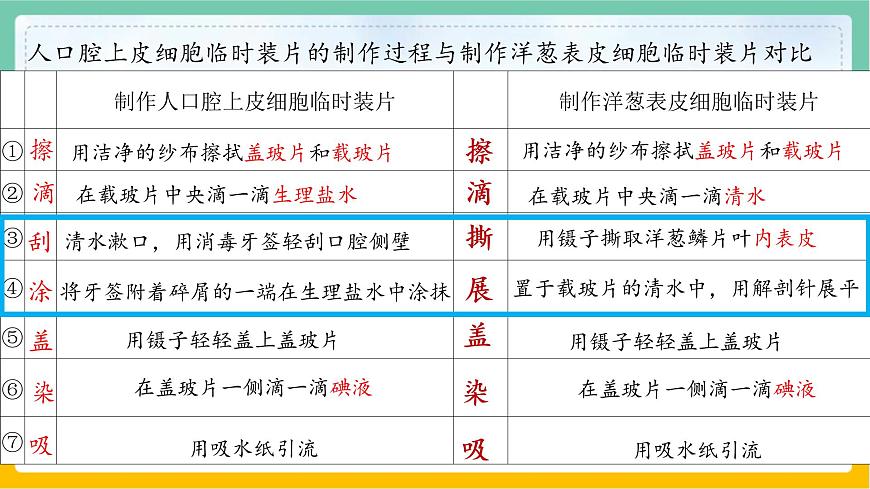 3.1.3《植物細胞結構和功能》 課件第8頁