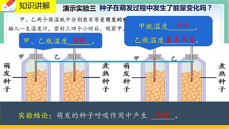5.2《呼吸作用》课件PPT+教案+同步练习06
