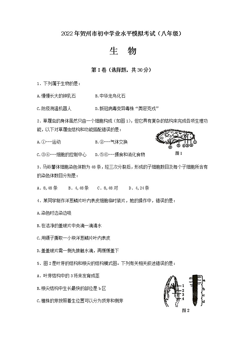 2022年广西贺州市初中学业水平模拟考试生物试题(二模)01