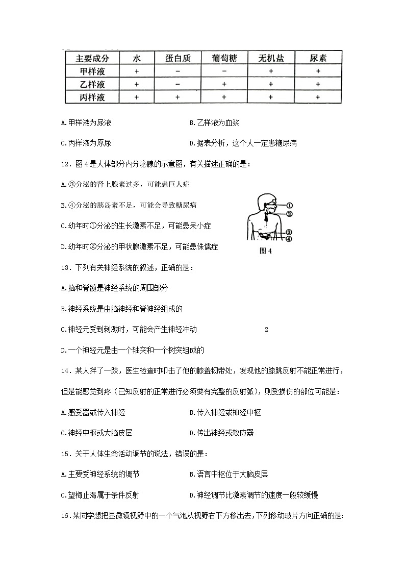 2022年广西贺州市初中学业水平模拟考试生物试题(二模)03