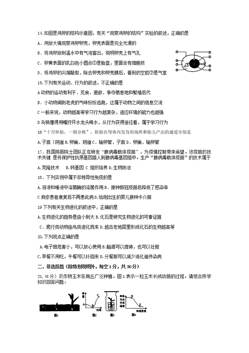 2022年河南省商丘市梁园区八年级普通高中招生考试生物模拟试卷(二)(无答案)第3页