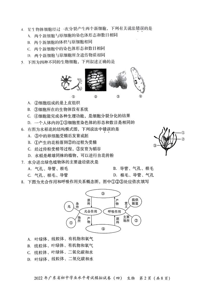 2022年广东省东莞市初中学业水平考试生物模拟测试卷(四)(无答案)第2页