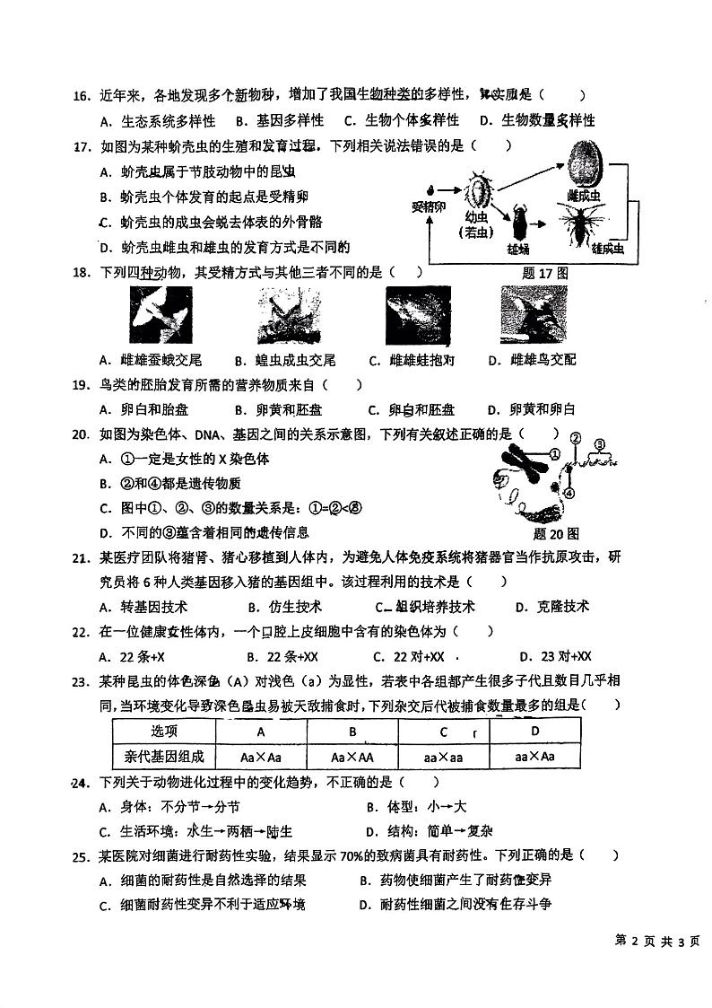 2022年广东省东莞市东城实验中学中考复习练习(一)生物试题03