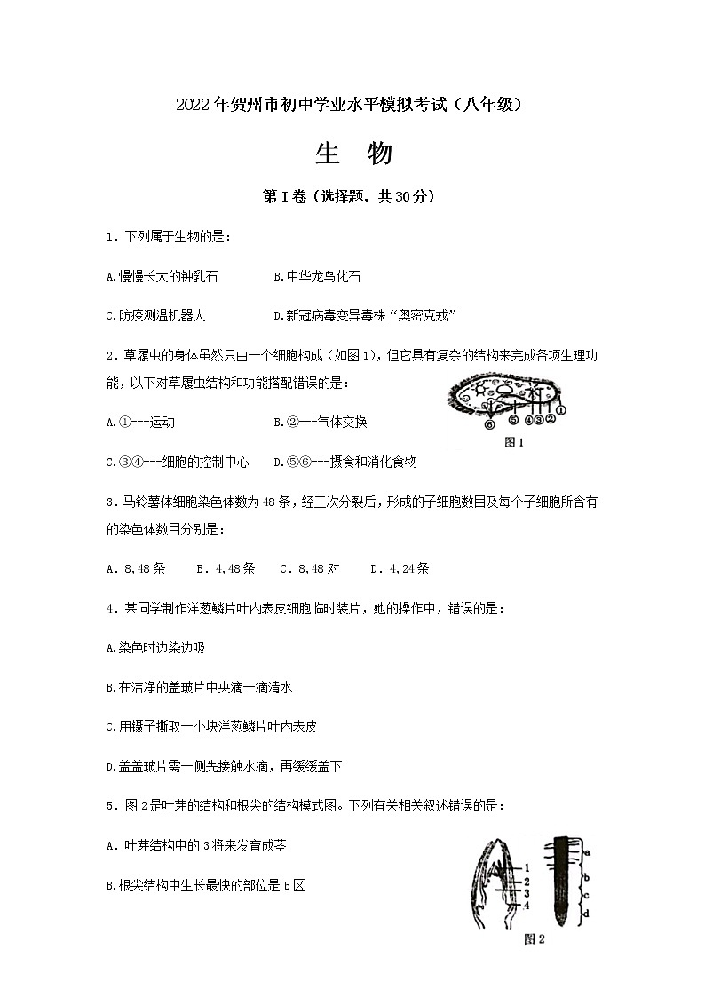 2022年广西贺州市初中学业水平模拟考试生物试题(二模)(word版含答案)01