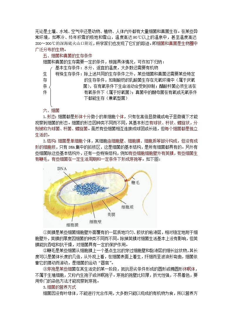 中考生物总复习《细菌、真菌和病毒》知识点总结02