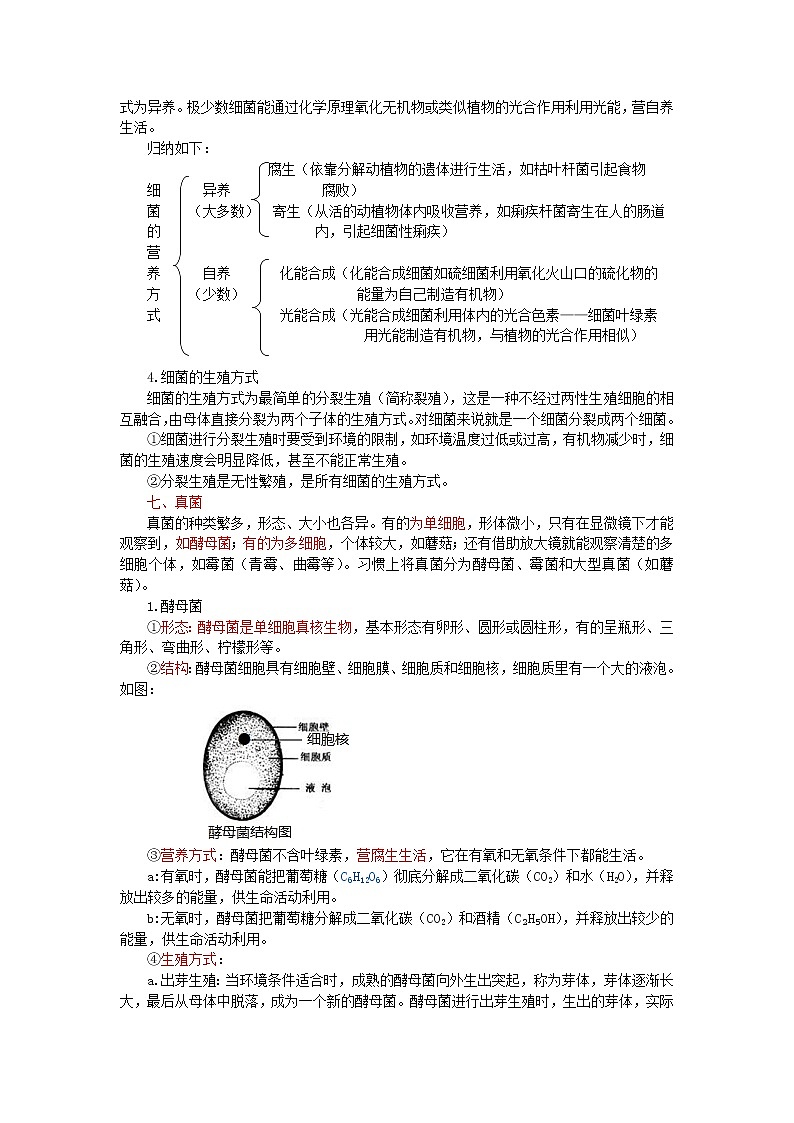 中考生物总复习《细菌、真菌和病毒》知识点总结03
