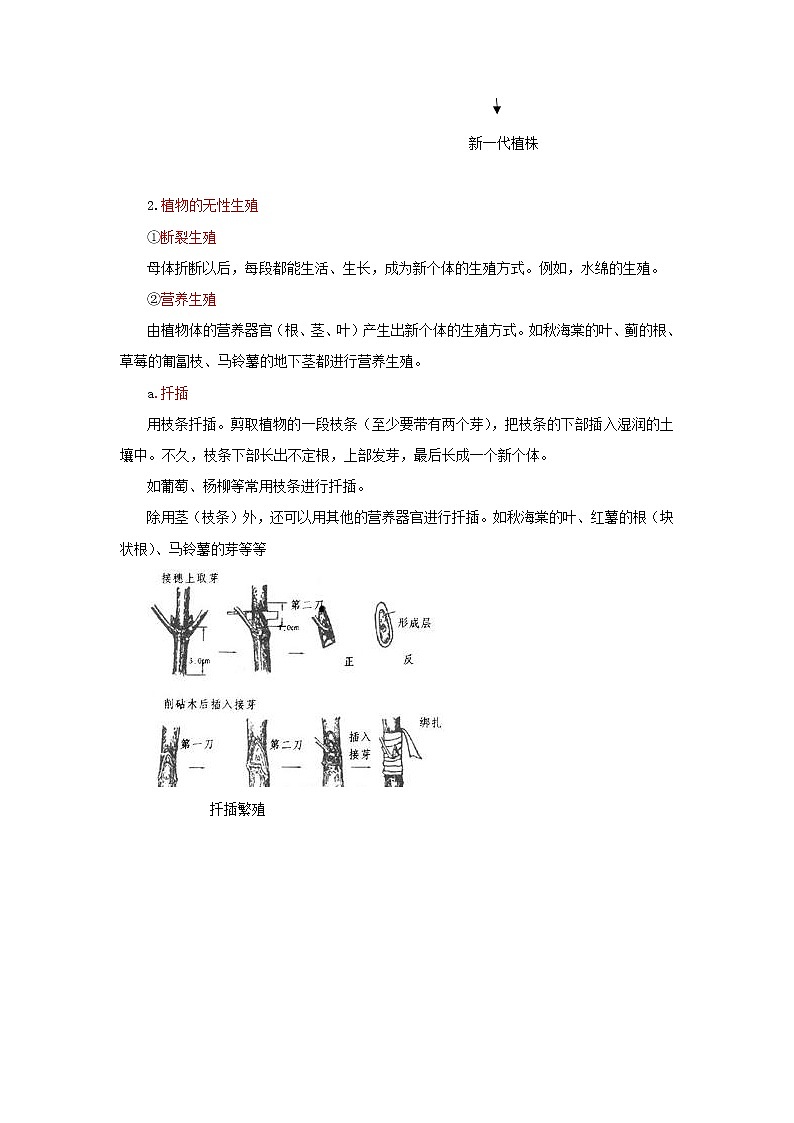 中考生物总复习《植物的生殖》知识点总结02