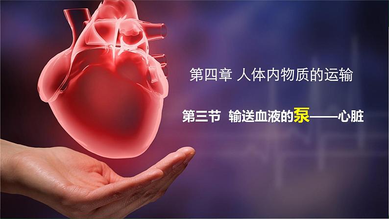 第三节 输送血液的泵--心脏 课件(上课亲用)02