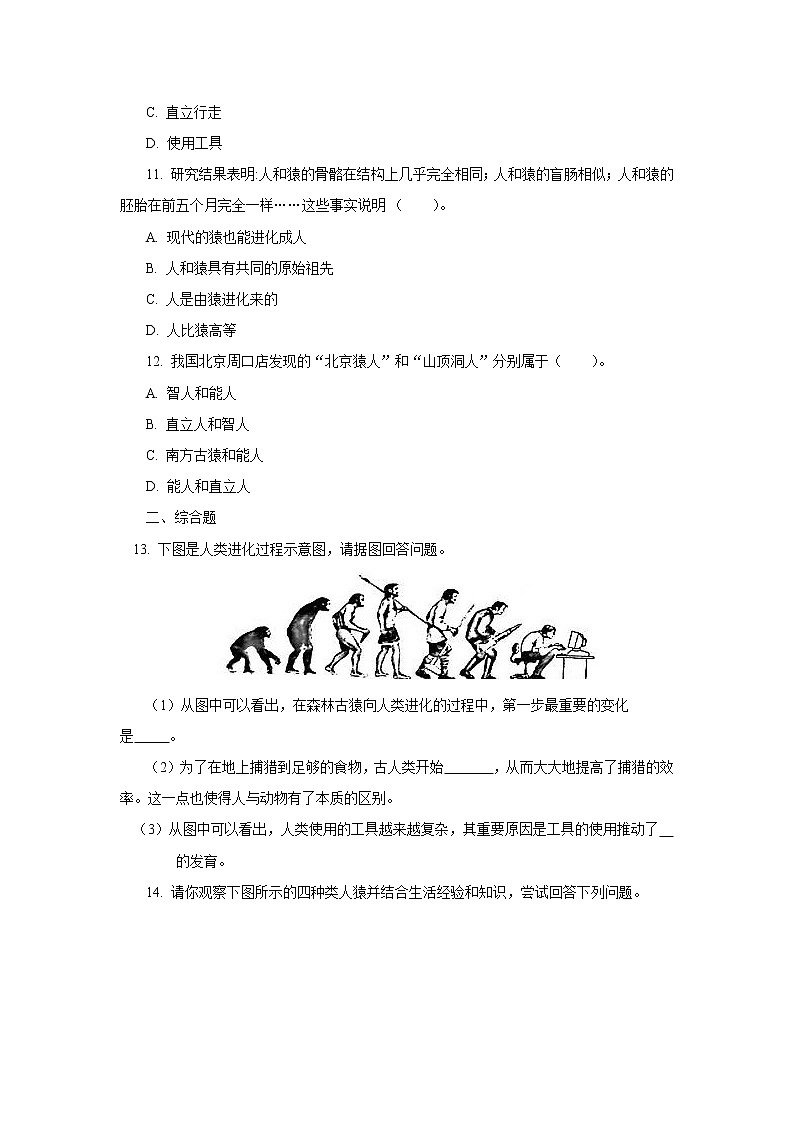 人教版七年级生物下册4.1.1 人类的起源和发展 (习题)第3页