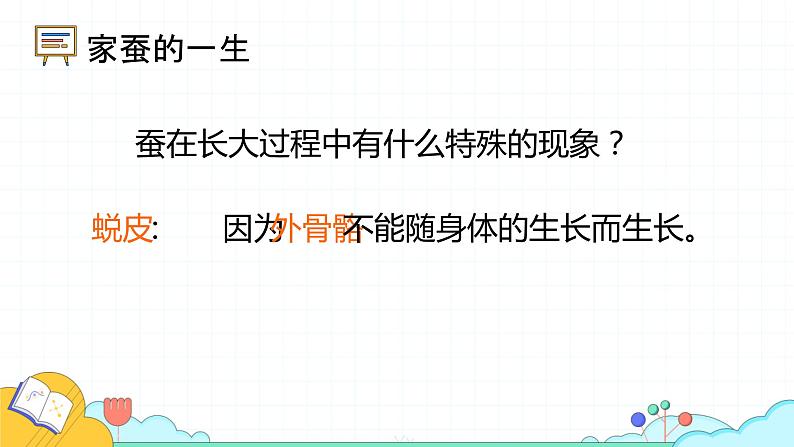 7.1.2 昆虫的生殖和发育(29张)-人教版生物八年级下册课件第7页