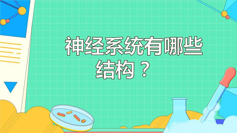4.6.2 神经系统的组成(29张)-人教版生物七年级下册课件第4页