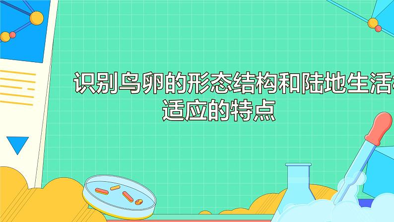 7.1.4 鸟的生殖和发育(26张)-人教版生物八年级下册课件第6页