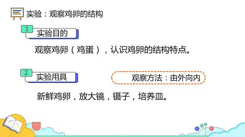 7.1.4 鸟的生殖和发育(26张)-人教版生物八年级下册课件第7页