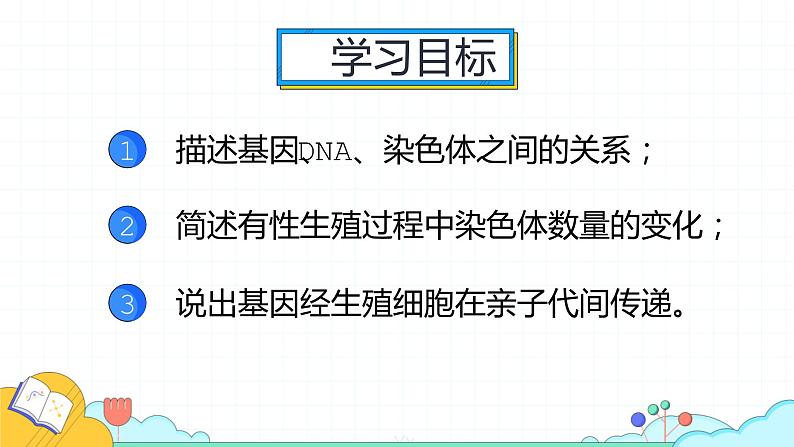 7.2.2 基因在亲子代间的传递(24张)-人教版生物八年级下册课件02