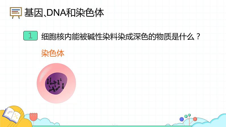 7.2.2 基因在亲子代间的传递(24张)-人教版生物八年级下册课件05