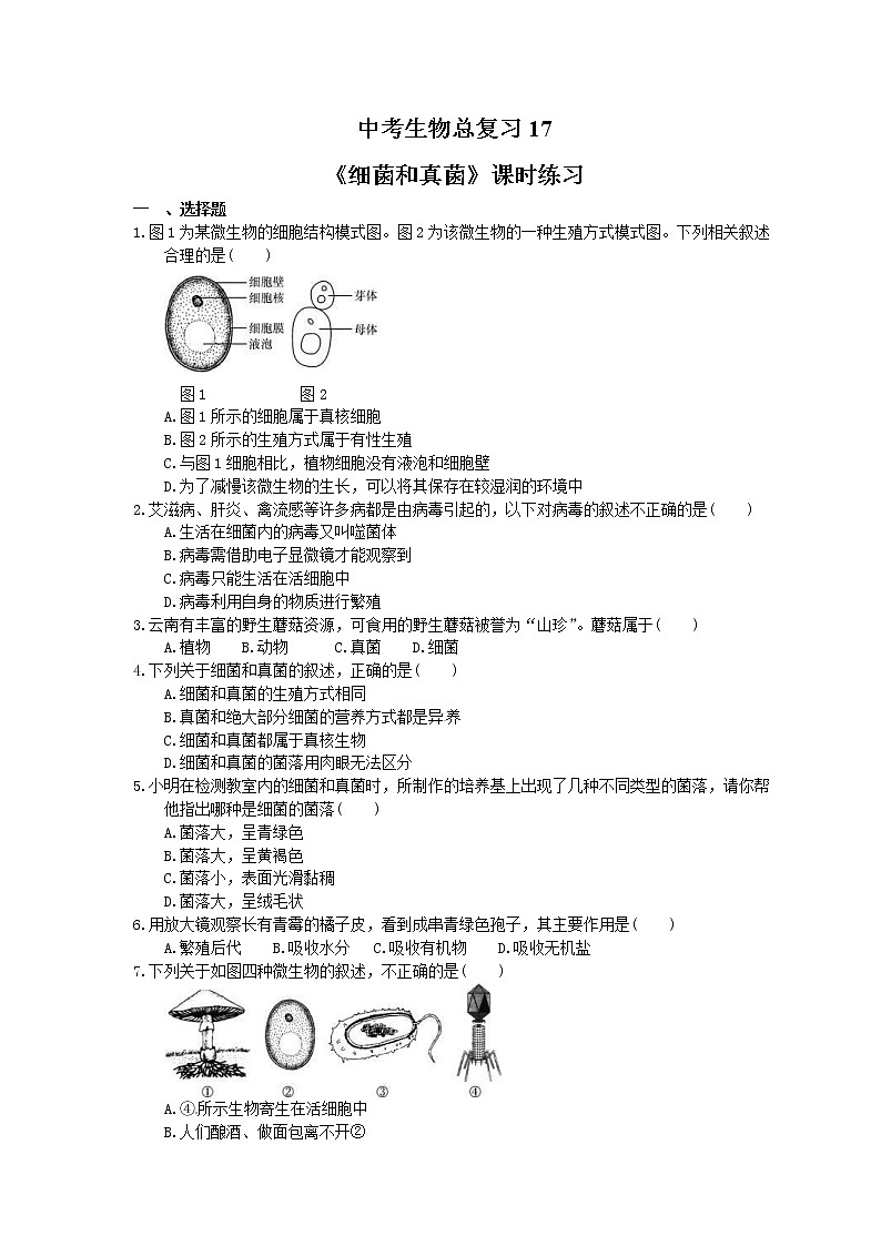 中考生物总复习20《细菌和真菌》课时练习(含答案)第1页