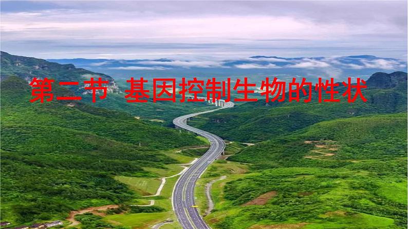 鲁科版(五四学制)生物八年级下册 8.2.2基因控制生物的性状 课件01