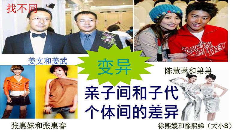 鲁科版(五四学制)生物八年级下册 8.2.2基因控制生物的性状 课件04