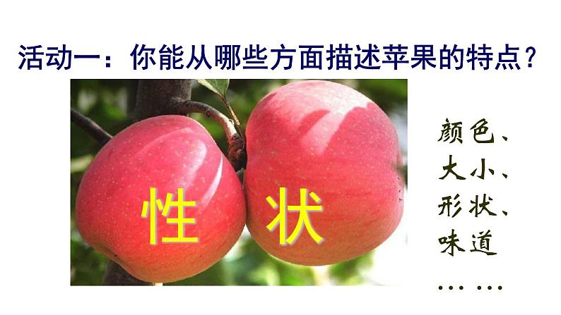 鲁科版(五四学制)生物八年级下册 8.2.2基因控制生物的性状 课件07