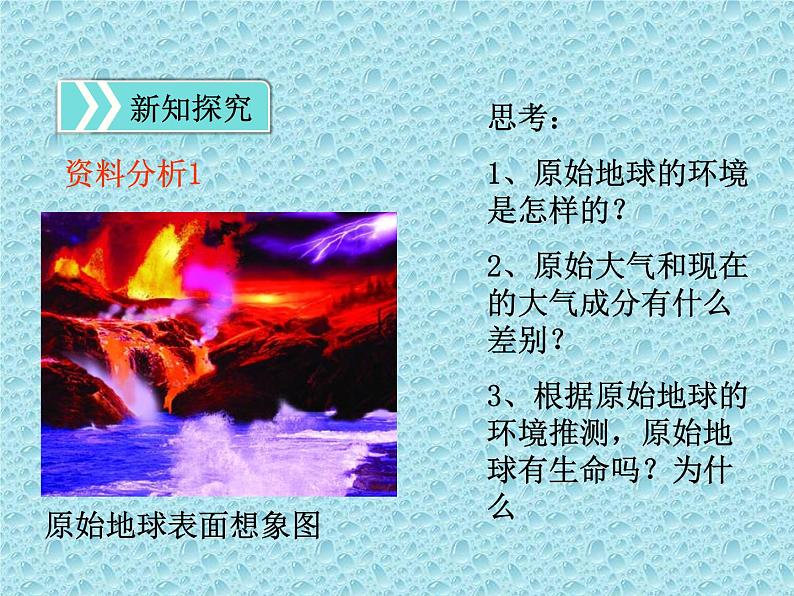 鲁科版(五四学制)生物八年级下册 8.3.1地球上生命的起源 课件05
