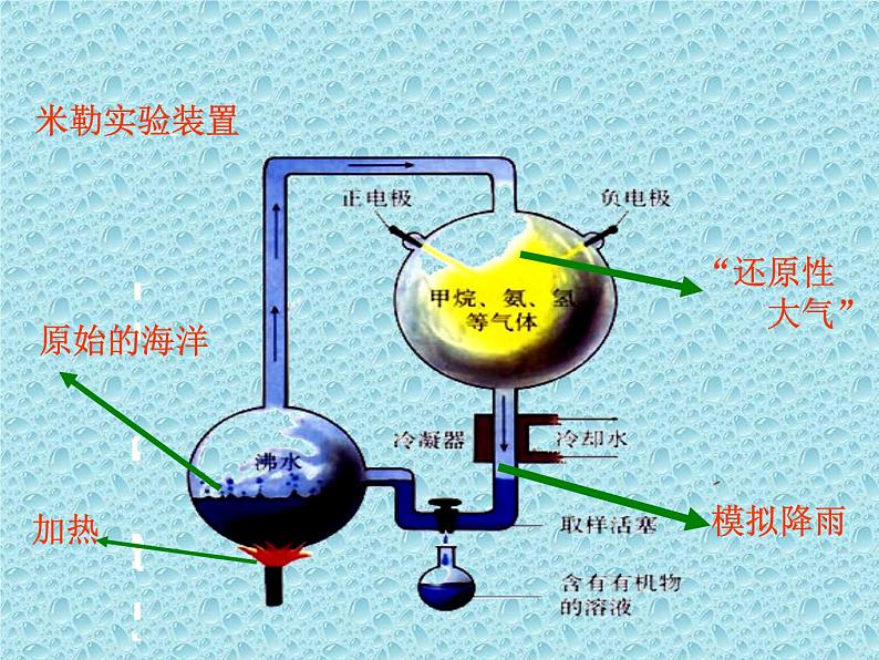 鲁科版(五四学制)生物八年级下册 8.3.1地球上生命的起源 课件07