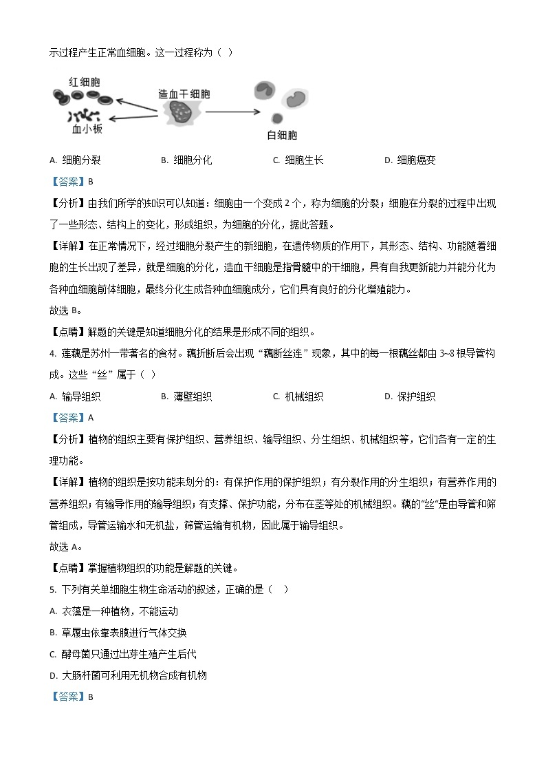 2021年江苏省苏州市初中结业考试生物试题（解析版）02