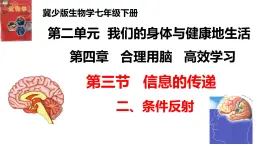 2-4-3信息的处理（二、条件反射）-【备课优选】2021-2022学年七年级生物下学期同步精品课件（冀少版）