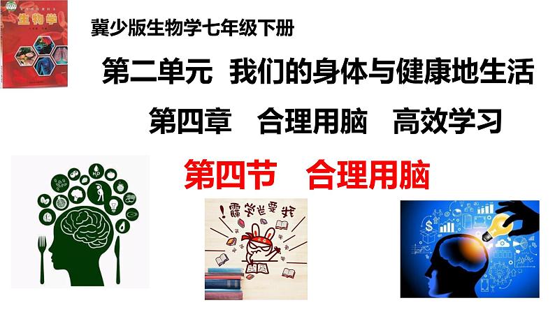 2-4-4合理用脑-【备课优选】2021-2022学年七年级生物下学期同步精品课件(冀少版)01