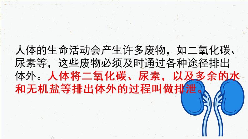 4-5人体内代谢废物的排出-2021-2022学年七年级生物下学期同步精品课件(人教版)04