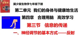 2-4-3信息的处理（一、神经调节的基本方式——反射）-【备课优选】2021-2022学年七年级生物下学期同步精品课件（冀少版）