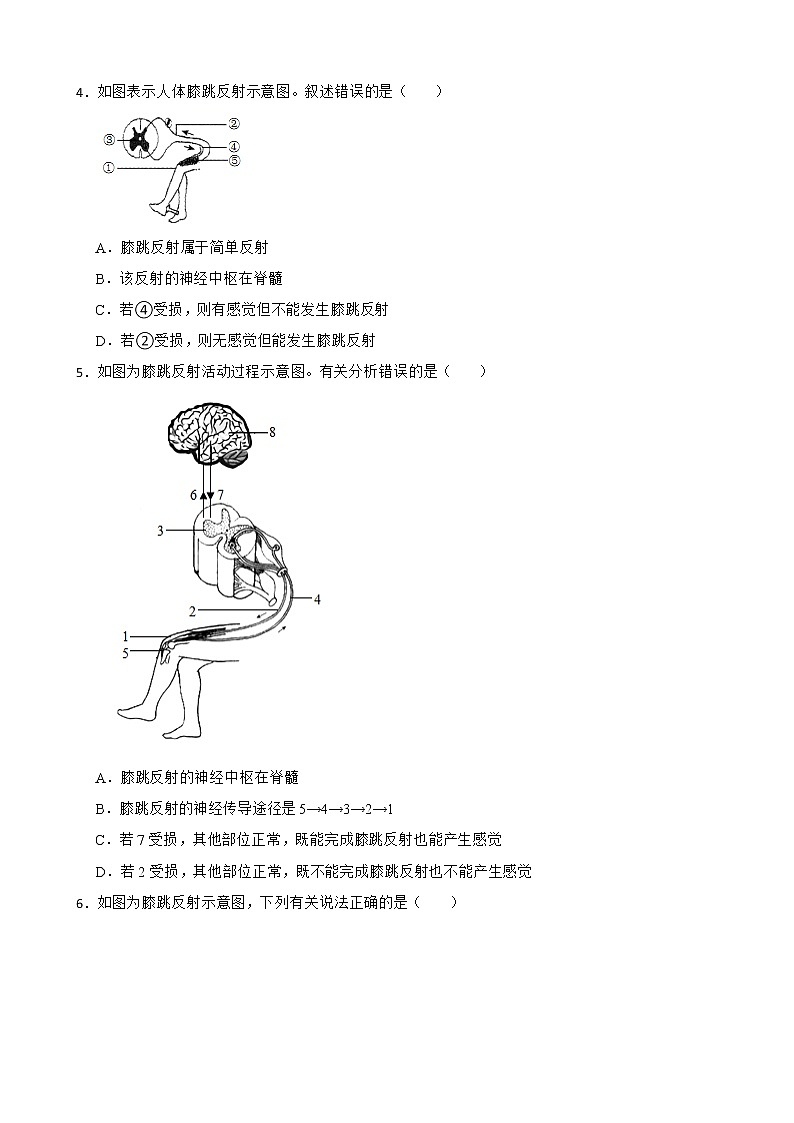 备考中考生物实验专项复习 膝跳反射解析版第2页