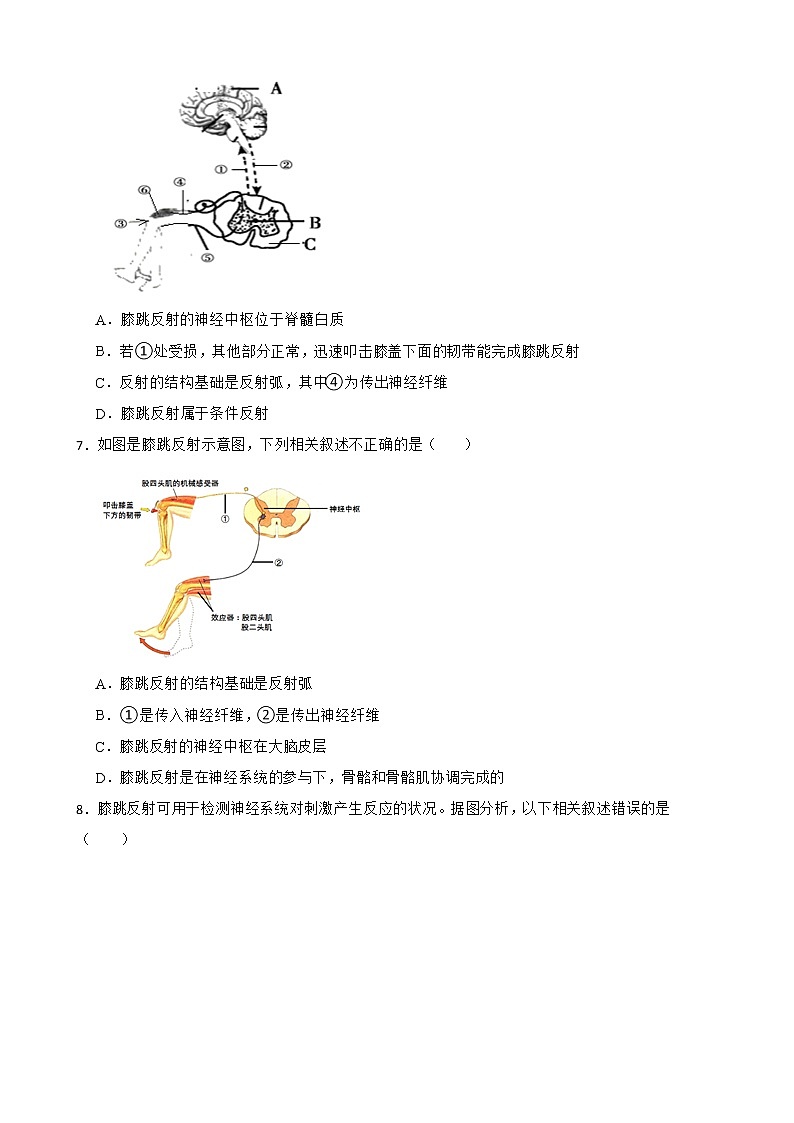 备考中考生物实验专项复习 膝跳反射解析版第3页