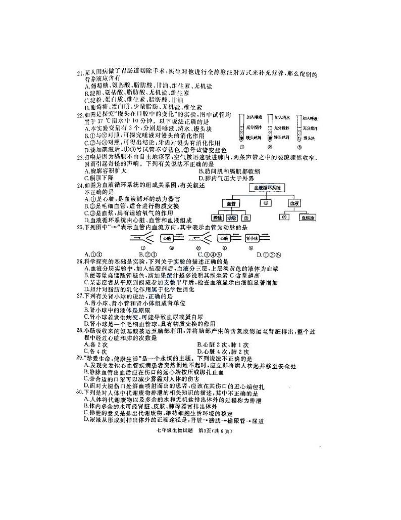 山东省枣庄市滕州市2021-2022学年七年级下学期期中考试生物试题(含答案)第3页