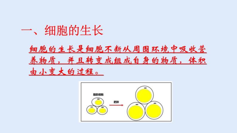 人教版七年级生物上册 2.2.1 细胞通过分裂产生新细胞 课件07